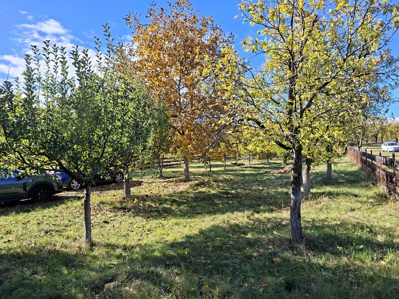 Sat Faget, Com. Drajna, jud. Prahova - comision 0%!