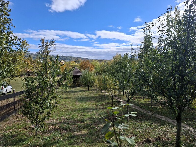 Sat Faget, Com. Drajna, jud. Prahova - comision 0%!