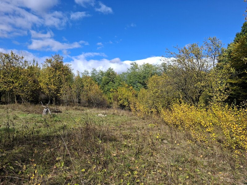 Sat Faget, Com. Drajna, jud. Prahova - comision 0%!